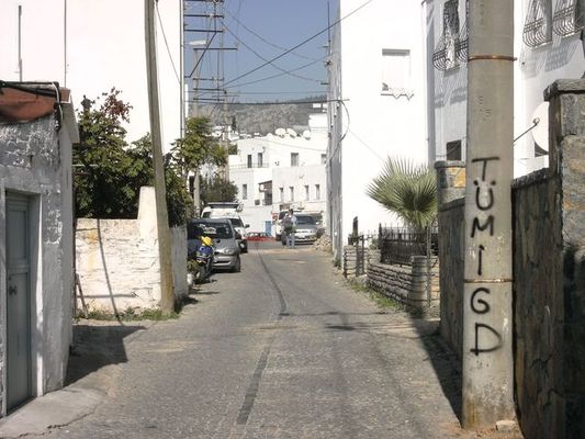 Bodrumlu ilerici gençler yazılama yaptı / 21.10.2008