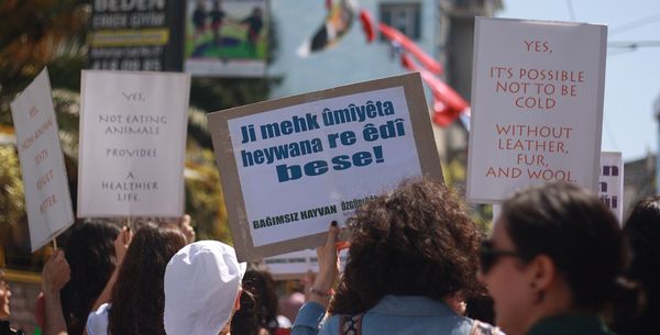 Her şey insanlar için! Mi?