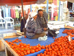 Devrim Ezilenlerin Şölenidir, Haydi 1 Mayıs'a