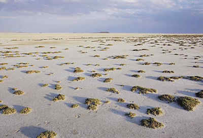 Tuz gölü özelleştiriliyor!